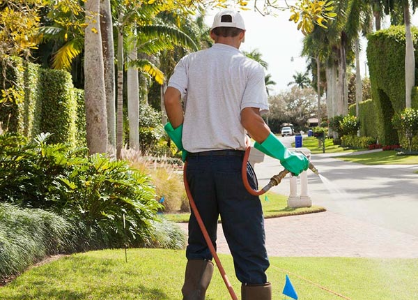 About Friendship ME Pest Control